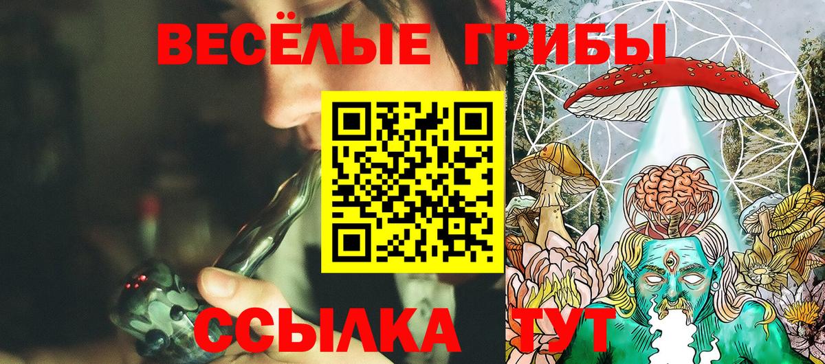 Галлюциногенные грибы Magic Shrooms  Галлюциногенные грибы мухоморы  Вход с VPN  Фрязино 